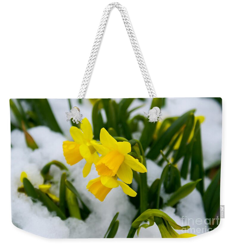 Daffodil Weekender Tote Bag featuring the photograph Come On Spring Time by Jennifer White