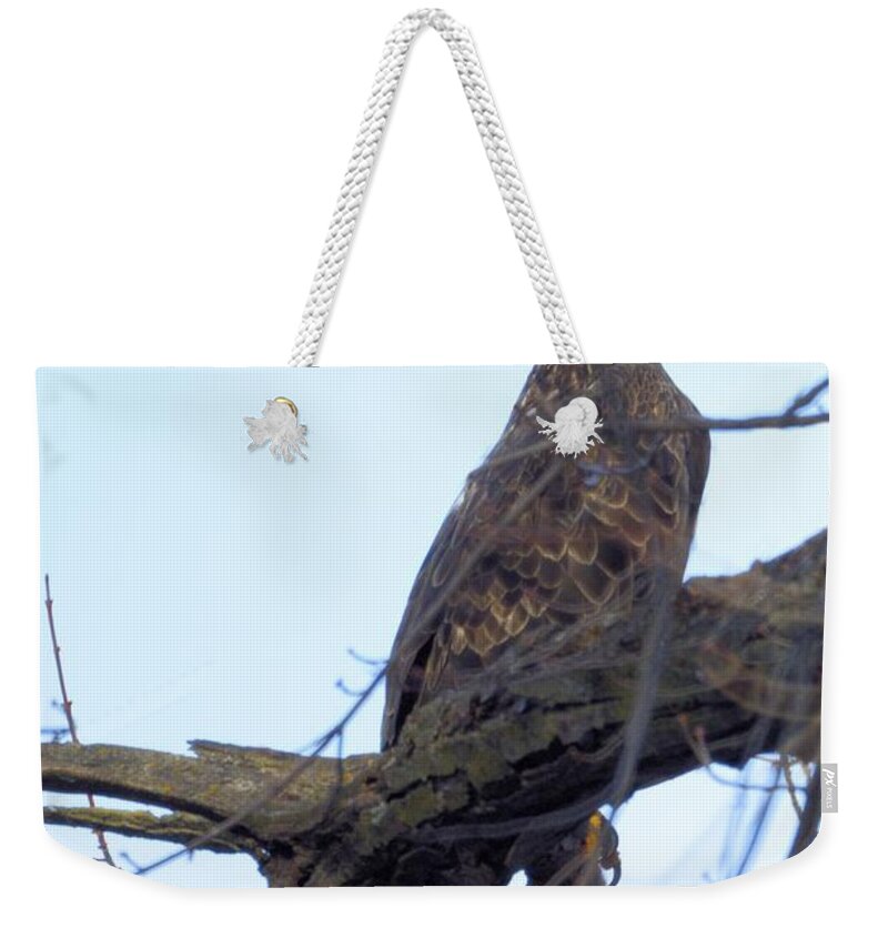 Eagle Weekender Tote Bag featuring the photograph Comfort Eagle by Bonfire Photography