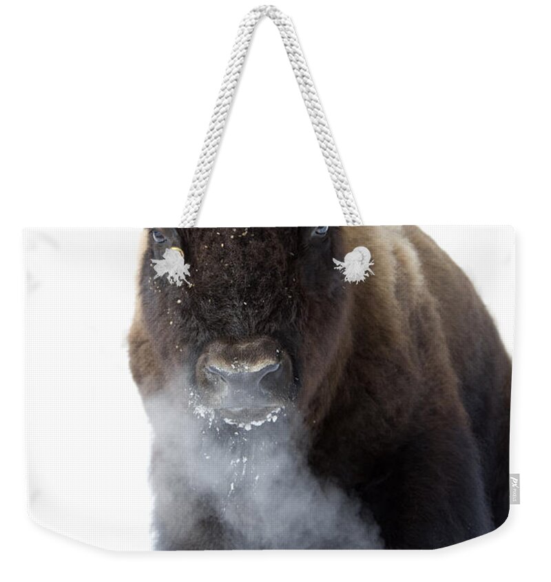 Bison Weekender Tote Bag featuring the photograph Coming Through by Deby Dixon