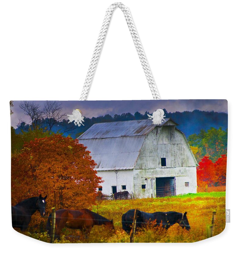 Horse Weekender Tote Bag featuring the photograph Coming To The Barn by Randall Branham