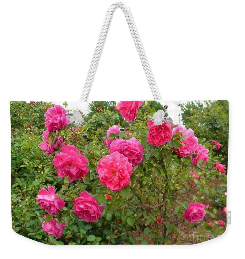 Flowers Weekender Tote Bag featuring the photograph Coming Up Rosy by Matthew Seufer
