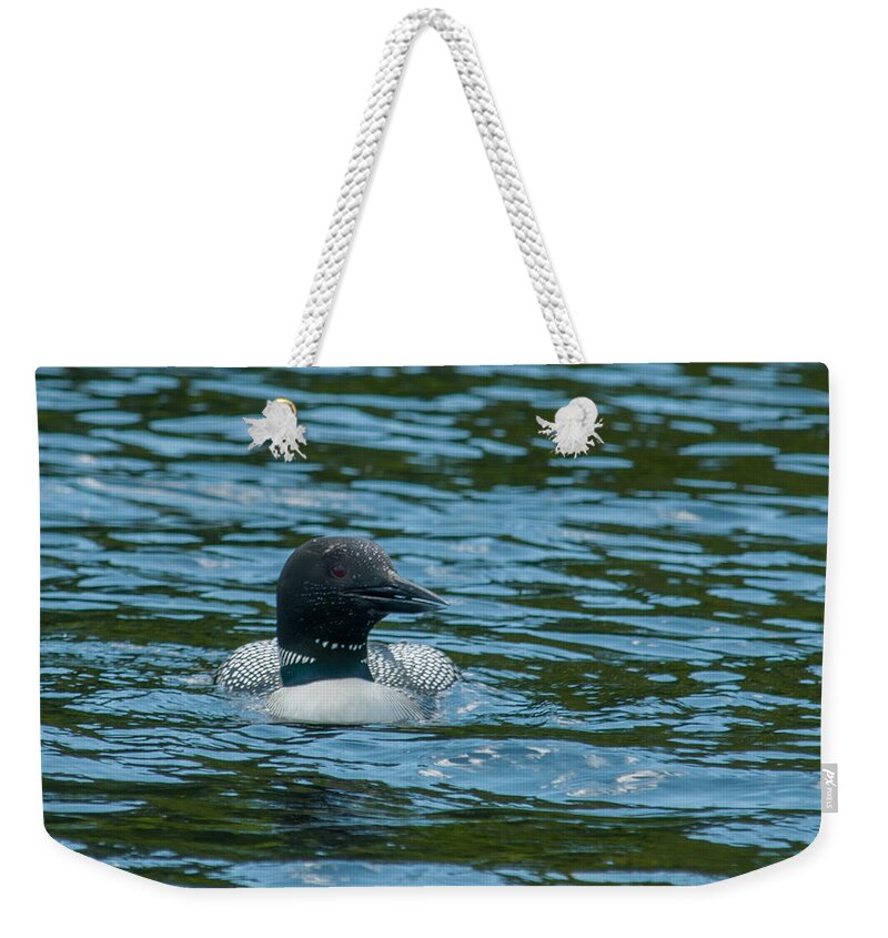 Birds Weekender Tote Bag featuring the photograph Common Loon by Brenda Jacobs