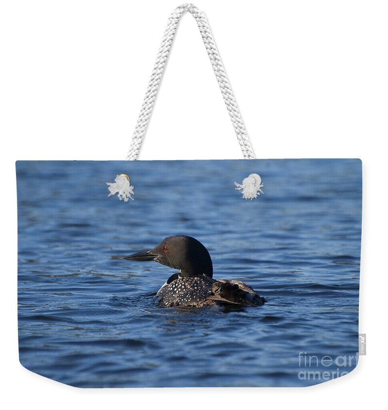 Common Loon Weekender Tote Bag featuring the photograph Common Loon by Joan Wallner