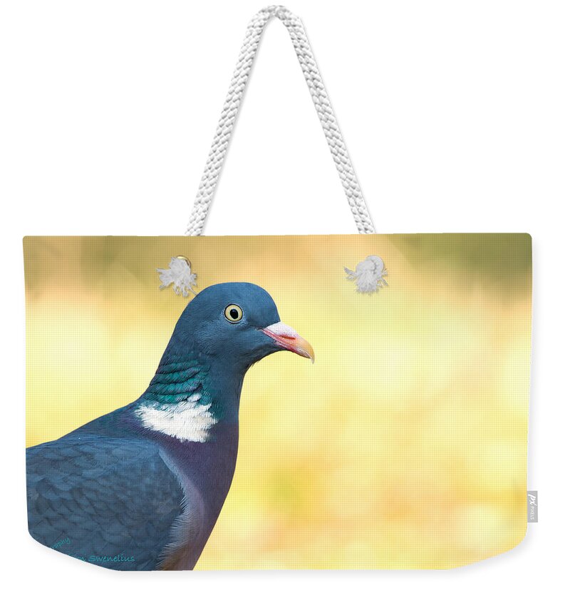 Common Wood Pigeon Weekender Tote Bag featuring the photograph Common Wood Pigeon by Torbjorn Swenelius