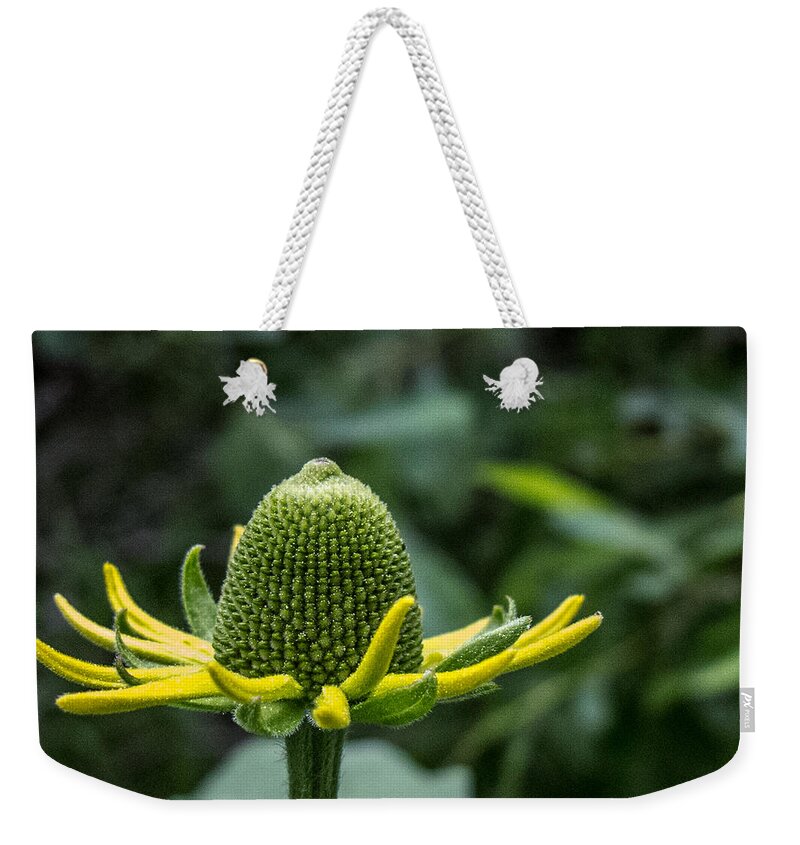 Coneflower Weekender Tote Bag featuring the photograph Coneflower by Susan Eileen Evans