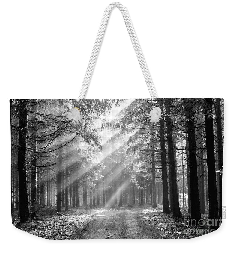 Forest Weekender Tote Bag featuring the photograph Coniferous Forest In Early Morning by Michal Boubin