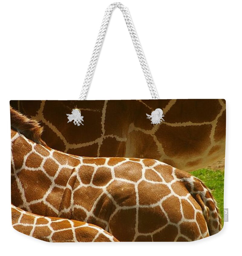 Giraffe Weekender Tote Bag featuring the photograph Connection by Randy Pollard