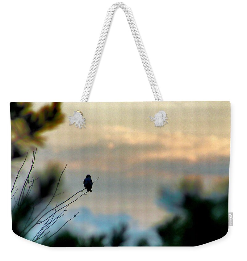 Bird Weekender Tote Bag featuring the photograph Contemplation by Bruce Patrick Smith