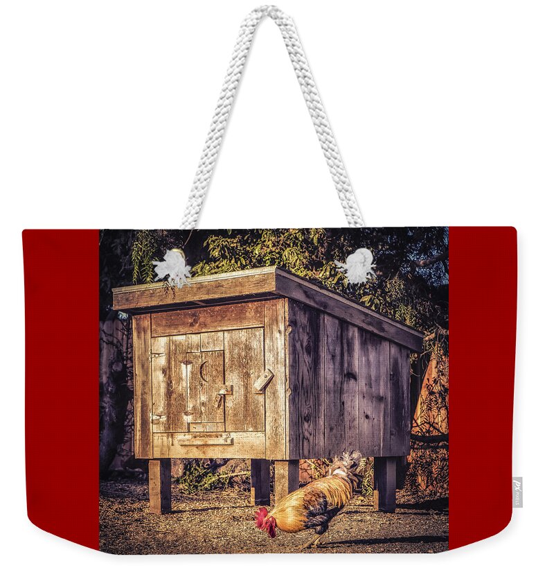 Coop Weekender Tote Bag featuring the photograph Coop by Caitlyn Grasso
