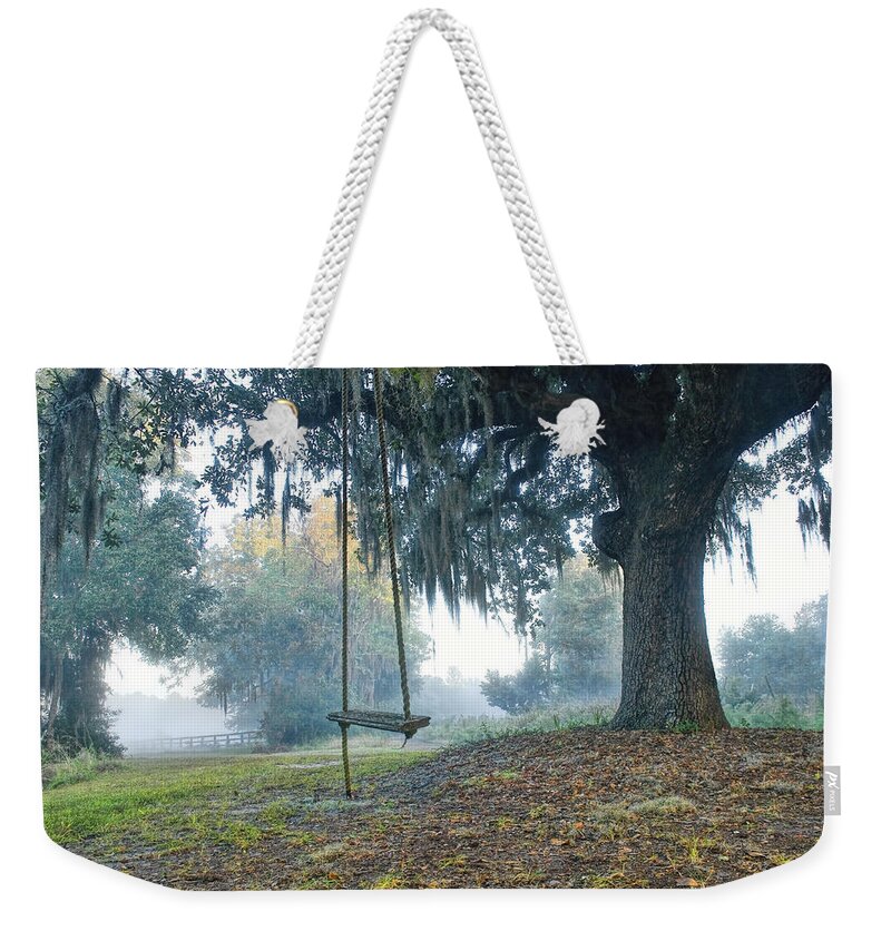 Old Tree Swing Weekender Tote Bag featuring the photograph Coosaw Tree Swing by Scott Hansen