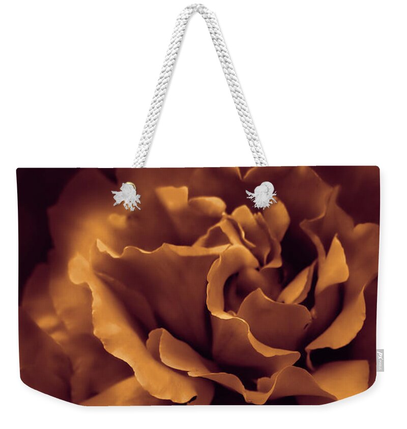 Rose Weekender Tote Bag featuring the photograph Copper Rose Floral Bouquet by Jennie Marie Schell