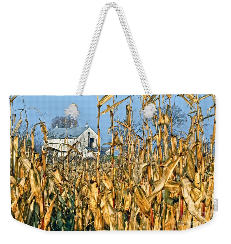 Antietam National Park Weekender Tote Bag featuring the photograph Corn Framed Barn by Ronald Lutz
