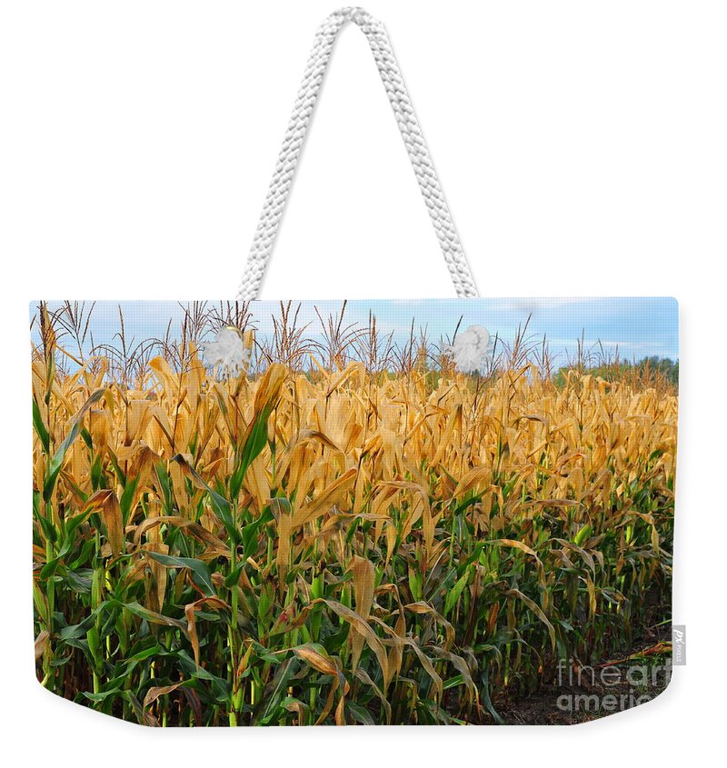 Farm Weekender Tote Bag featuring the photograph Corn Harvest by Terri Gostola