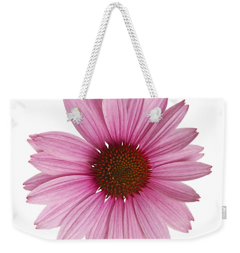 Echinacea Weekender Tote Bag featuring the photograph Cornflower by Tony Cordoza