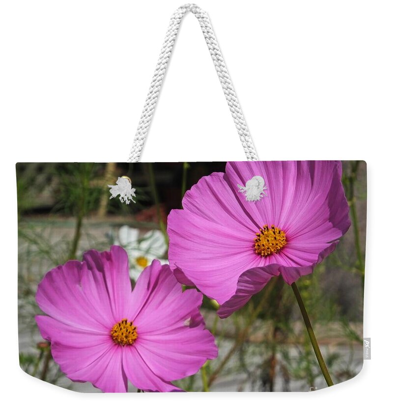Cosmos Weekender Tote Bag featuring the photograph Cosmos Twins by Lizi Beard-Ward