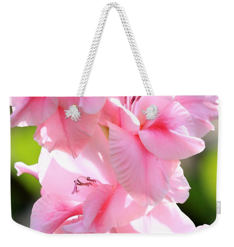 Glads Weekender Tote Bag featuring the photograph Cotton Candy Gladiolus by Carol Groenen