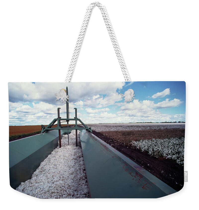 Scenics Weekender Tote Bag featuring the photograph Cotton Harvesting by Ooyoo
