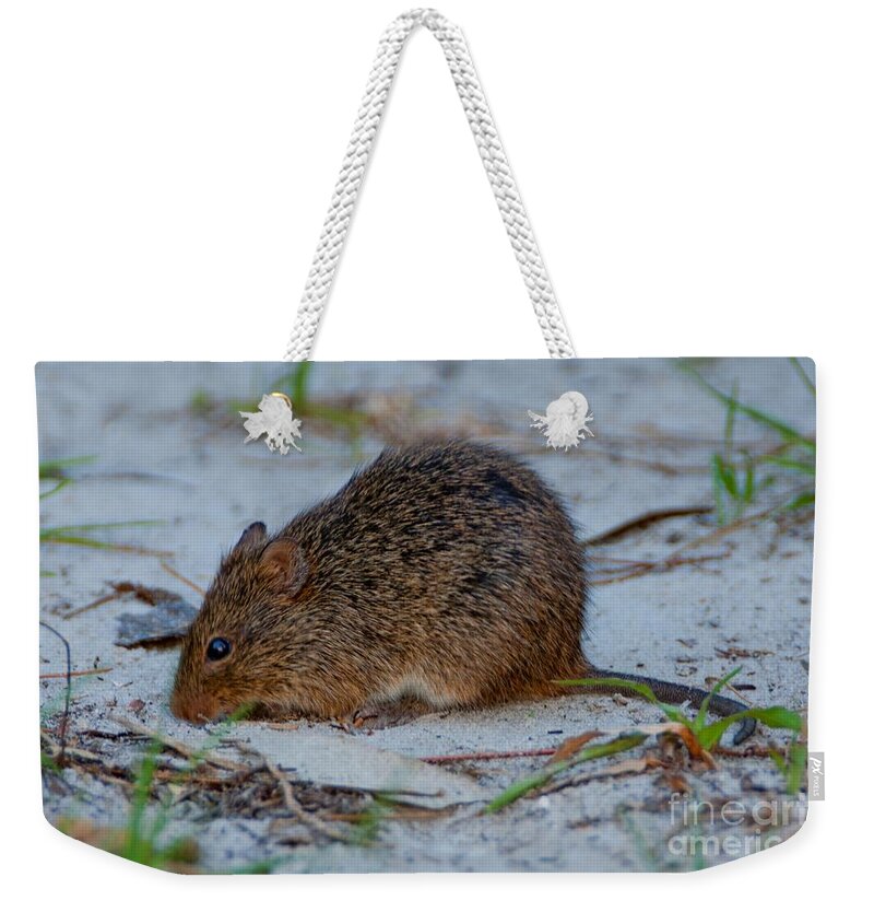 Cotton Rat Weekender Tote Bag featuring the photograph Cotton Rat by John Harmon