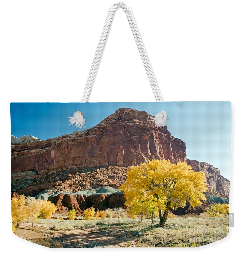 Autumn Weekender Tote Bag featuring the photograph Cottonwoods in Fall The CastleCapitol Reef National Park by Fred Stearns