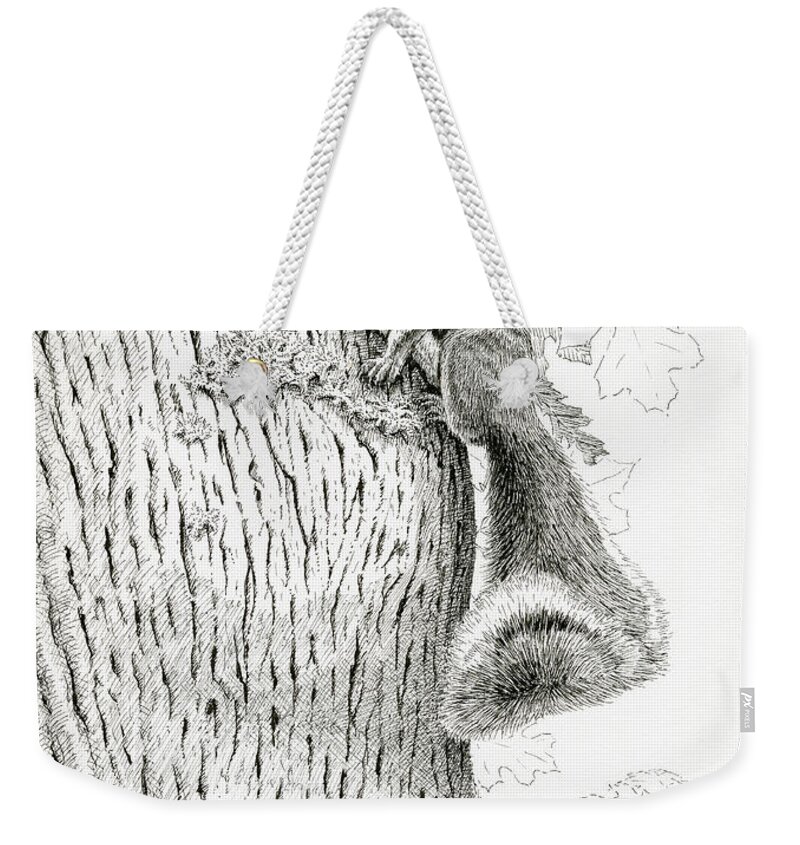 Wildlife Weekender Tote Bag featuring the drawing Coveting Nuts by Timothy Livingston
