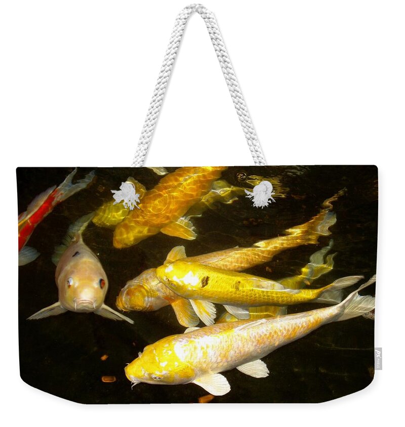 Fish Weekender Tote Bag featuring the photograph Coy Koi by Deborah Crew-Johnson