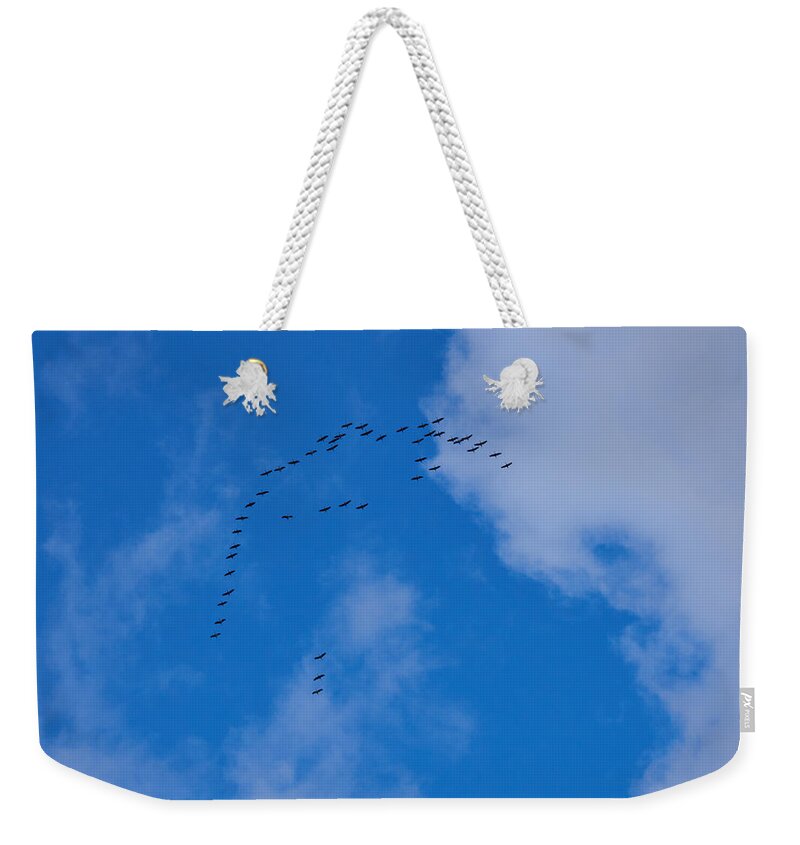 Finland Weekender Tote Bag featuring the photograph Cranes by Jouko Lehto