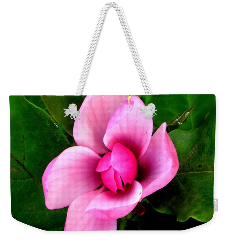 Crape Myrtle Weekender Tote Bag featuring the photograph Crape Myrtle by Kim Galluzzo