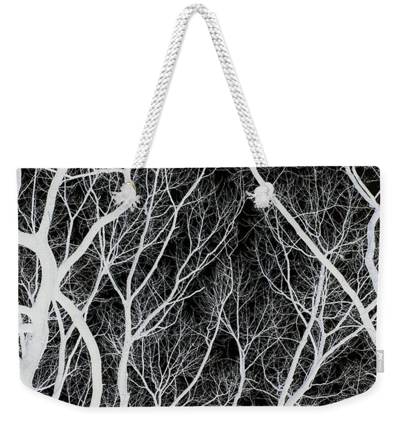 Tree Weekender Tote Bag featuring the photograph Creepy Branches by David Lichtneker