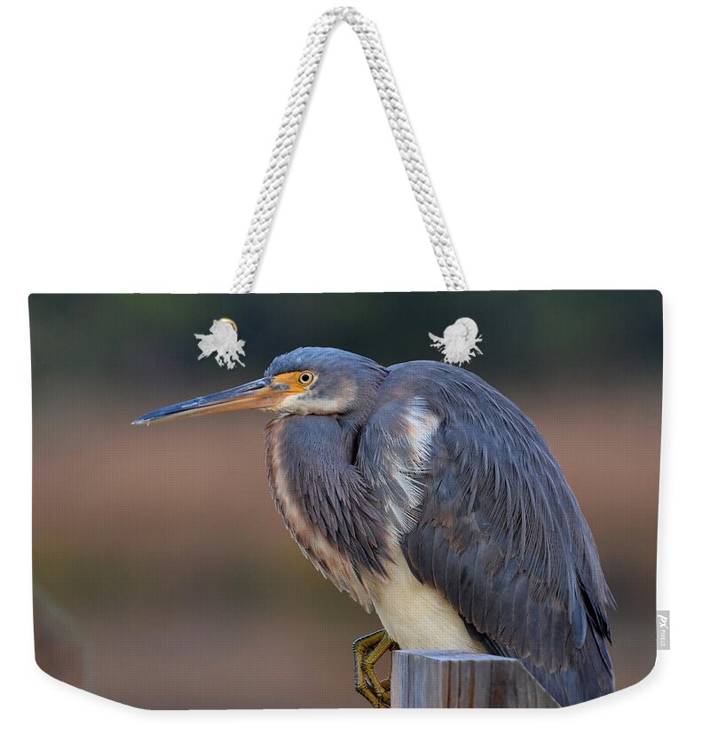 Birds Weekender Tote Bag featuring the photograph Crouching Heron by Kathy Baccari