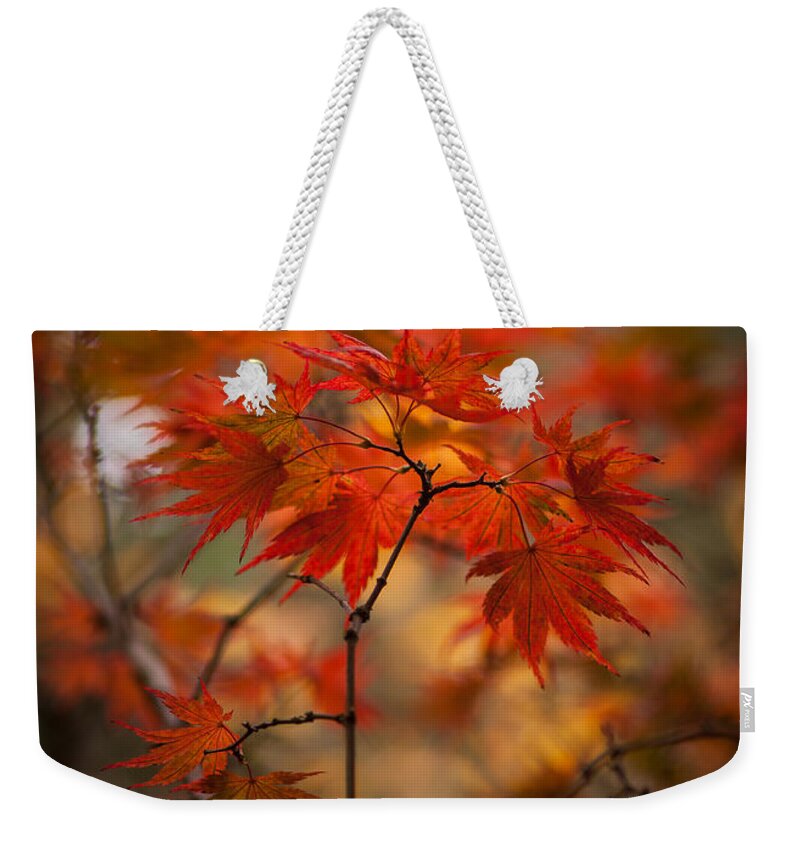 Fall Weekender Tote Bag featuring the photograph Crown of Fire by Mike Reid