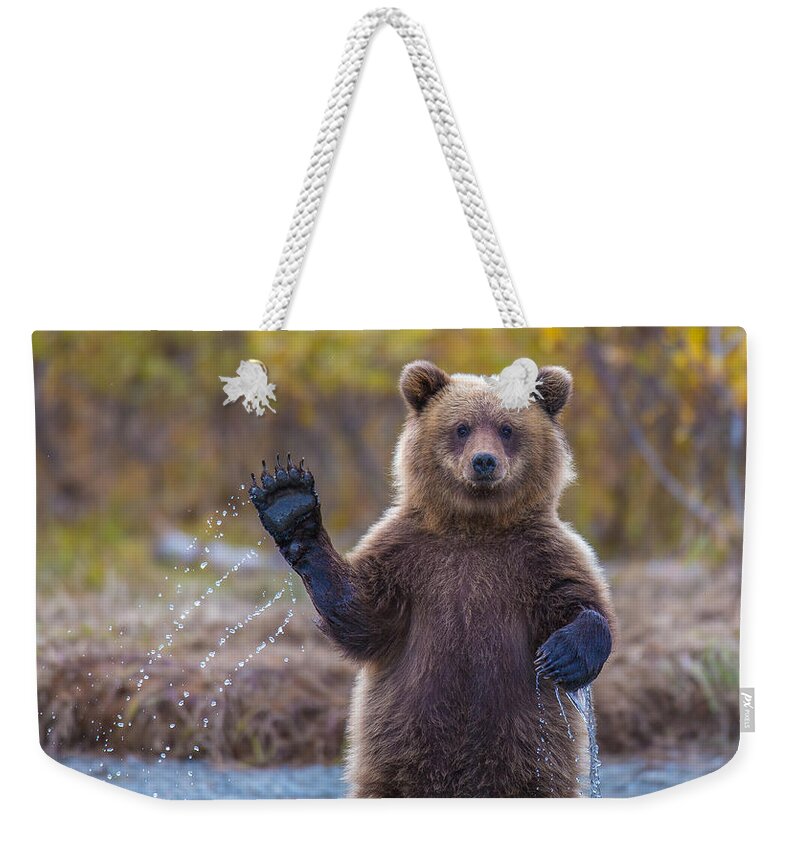 Bear Weekender Tote Bag featuring the photograph Cub Scouts Honor by Kevin Dietrich