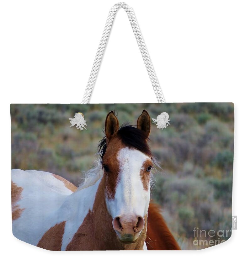 Horse Weekender Tote Bag featuring the photograph Curious by Michele Penner