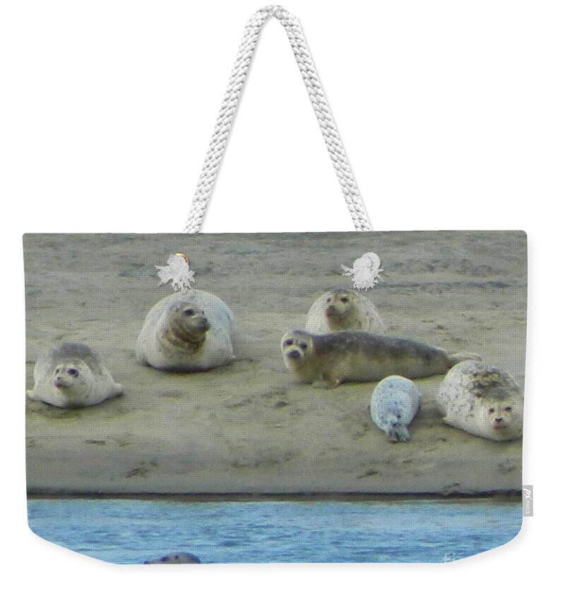 Nature Weekender Tote Bag featuring the photograph Cute Faces by Gallery Of Hope 