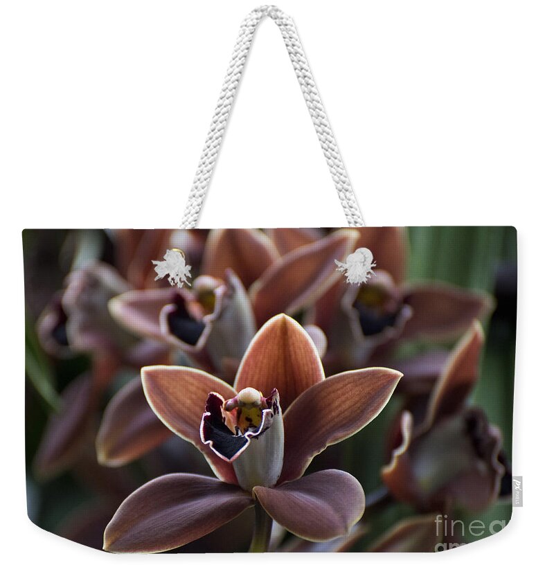 Brown Orchid Weekender Tote Bag featuring the photograph Cymbidium Edith McDade 'New Horizon'  2035 by Terri Winkler