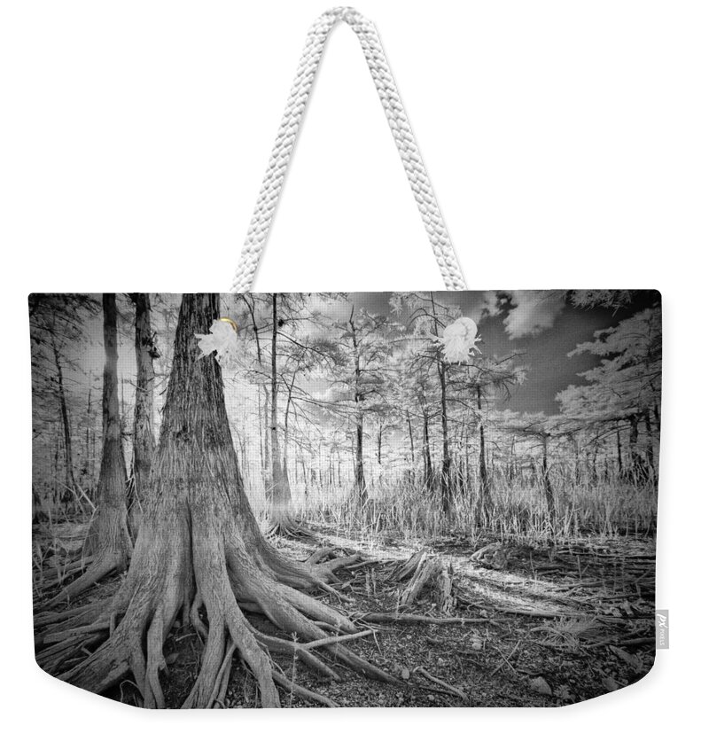 Big Weekender Tote Bag featuring the photograph Cypress Roots In Big Cypress by Bradley R Youngberg
