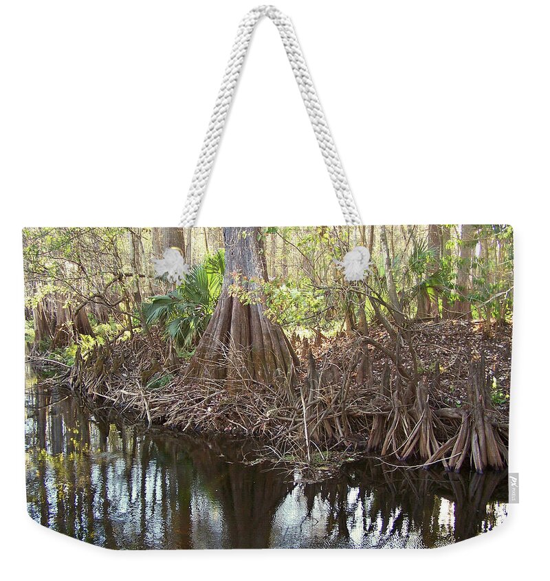 Nature Weekender Tote Bag featuring the photograph Cypress Swamp by Peggy Urban