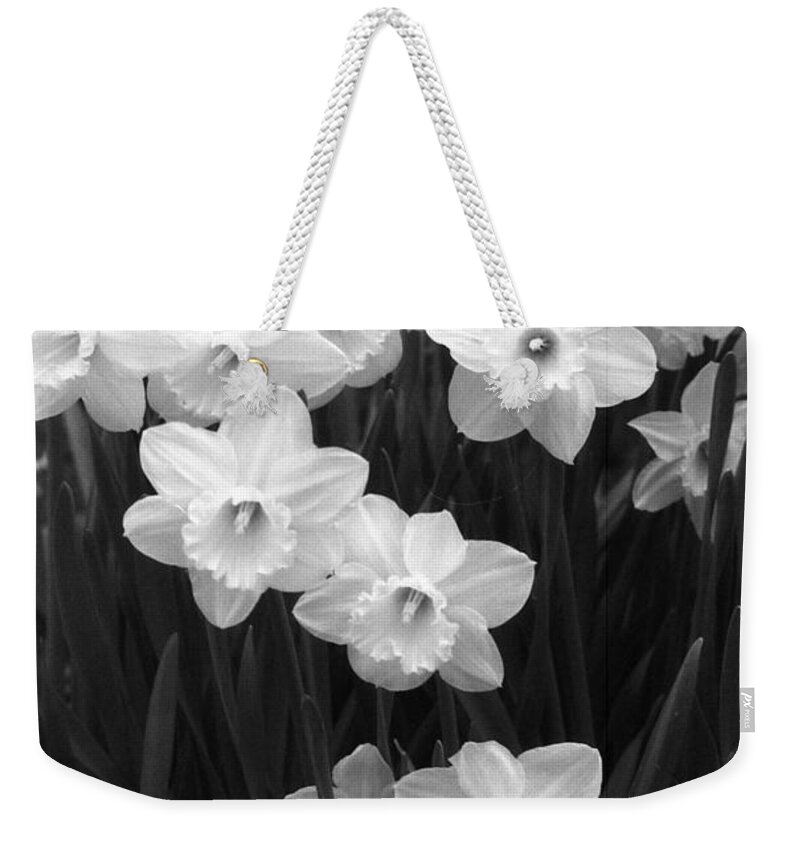 Daffodil Weekender Tote Bag featuring the photograph Daffodils - Infrared 09 by Pamela Critchlow