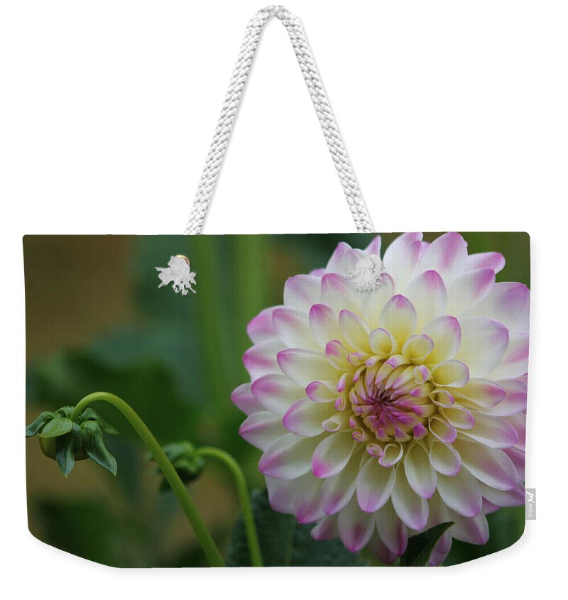 Dahlia Weekender Tote Bag featuring the photograph Dahlia In The Mist by Jeanette C Landstrom