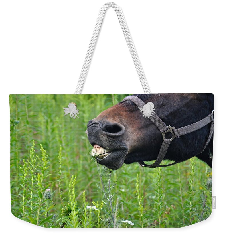 Mule Weekender Tote Bag featuring the photograph Dainty Bites by Christina McKinney