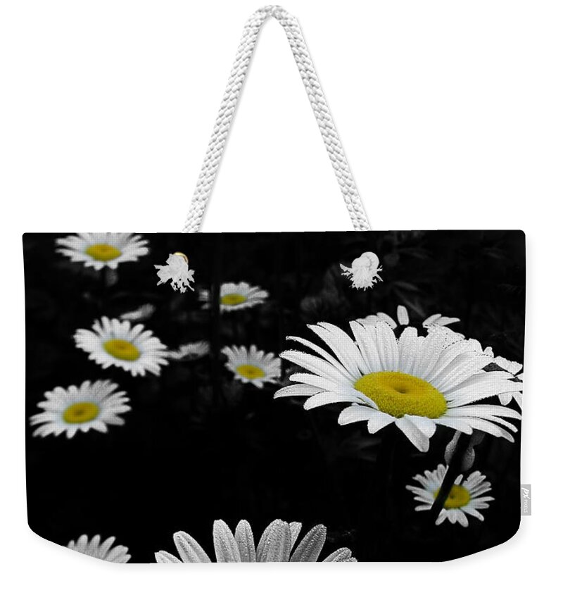 Daisy Weekender Tote Bag featuring the photograph Daisies by Gary Blackman