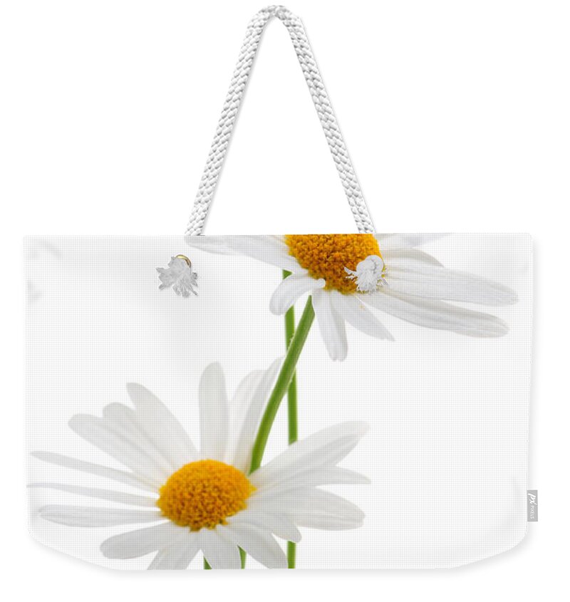 Daisy Weekender Tote Bag featuring the photograph Daisies on white background by Elena Elisseeva