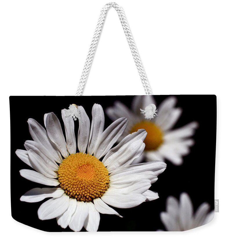 Daisies Weekender Tote Bag featuring the photograph Daisies by Rona Black