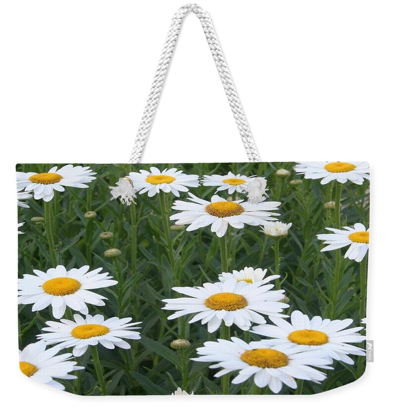 Common Daisy Weekender Tote Bag featuring the photograph Daisies by Taiche Acrylic Art