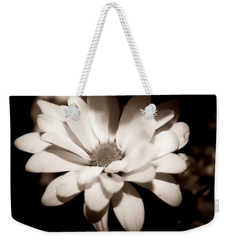 Flower Weekender Tote Bag featuring the photograph Daisy by Debra Forand