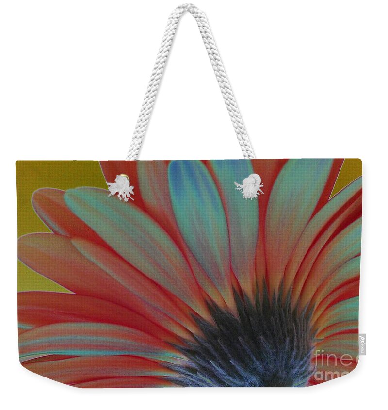 Daisy Weekender Tote Bag featuring the photograph Daisy From Behind by Jacqueline McReynolds