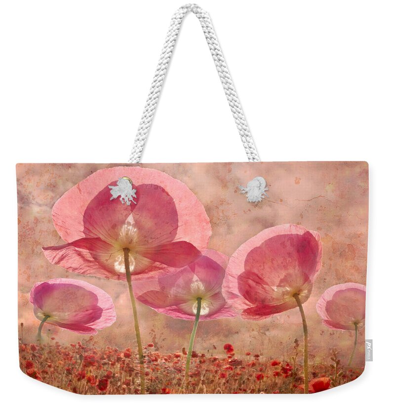 Appalachia Weekender Tote Bag featuring the photograph Dance of the Fairies by Debra and Dave Vanderlaan
