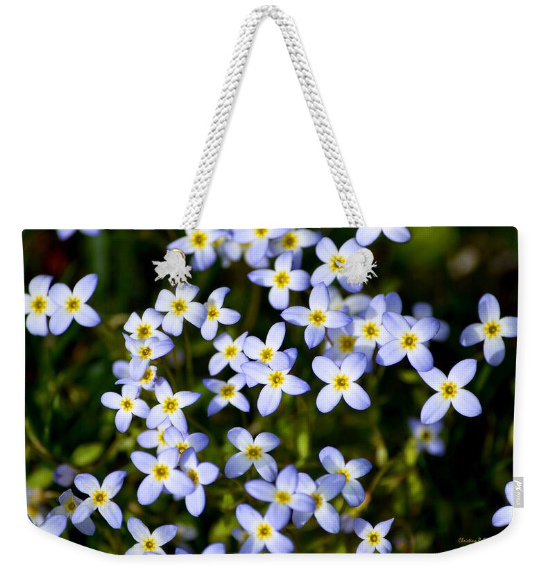 Spring Flowers Weekender Tote Bag featuring the photograph Spring Bluet Flowers by Christina Rollo