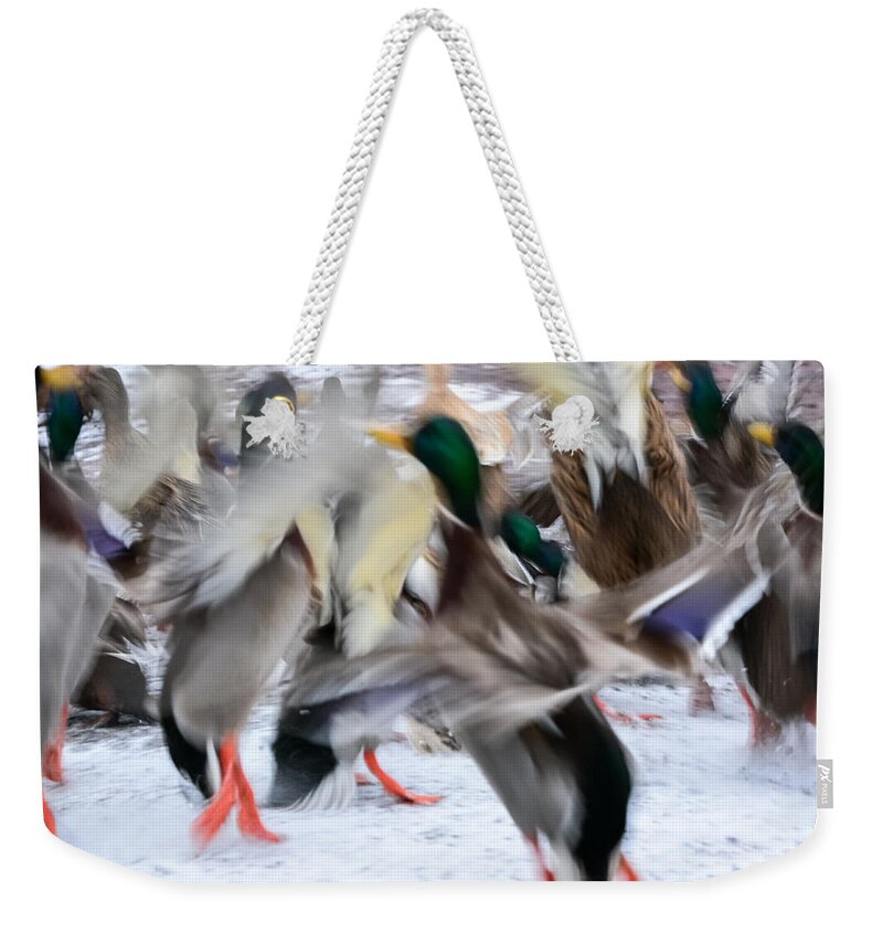 Mallards Weekender Tote Bag featuring the photograph Dancing Ducks by Holden The Moment