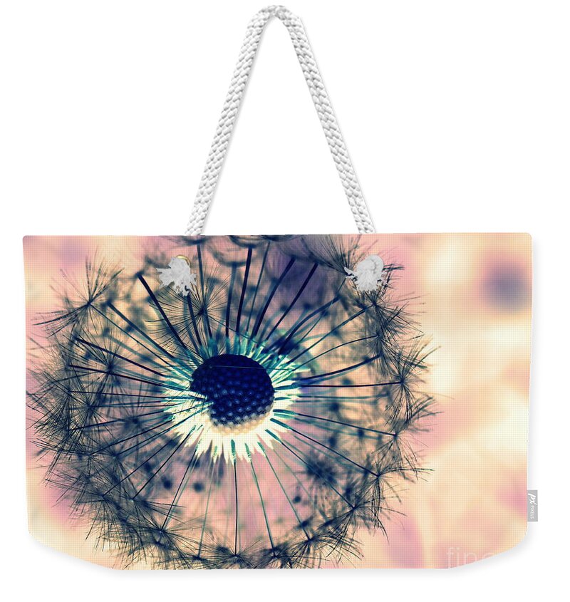 Dandelions Weekender Tote Bag featuring the photograph Dandelion 5 by Amanda Mohler