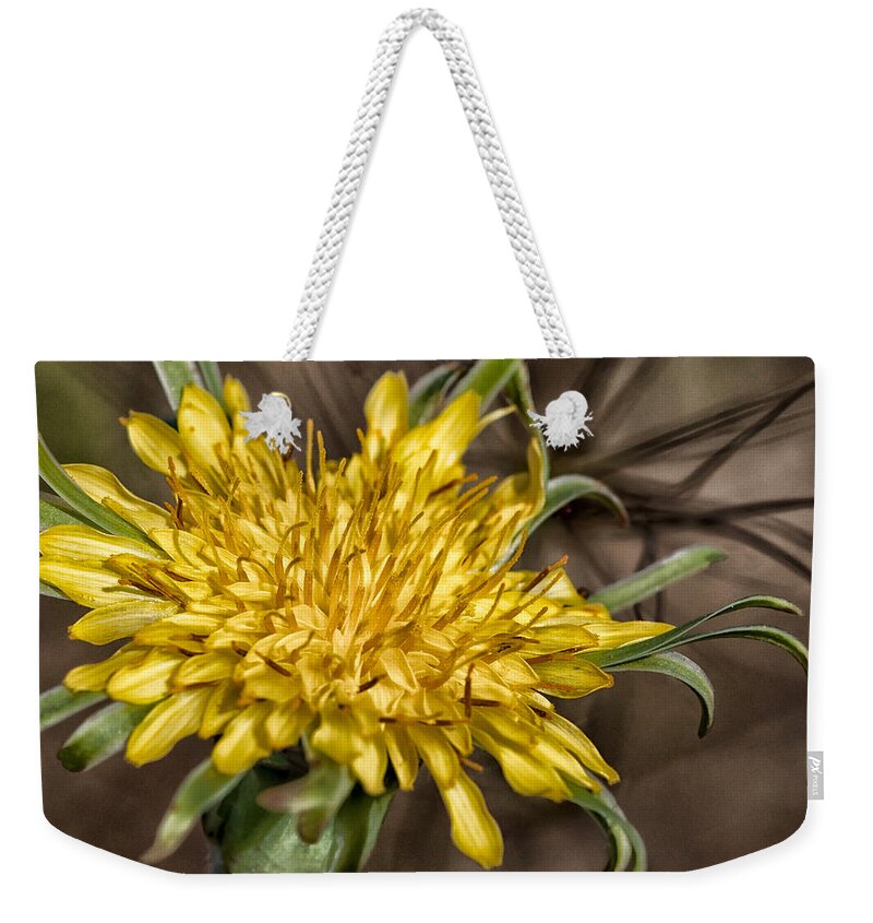 Dandelion Weekender Tote Bag featuring the photograph Dandelion by Betty Depee